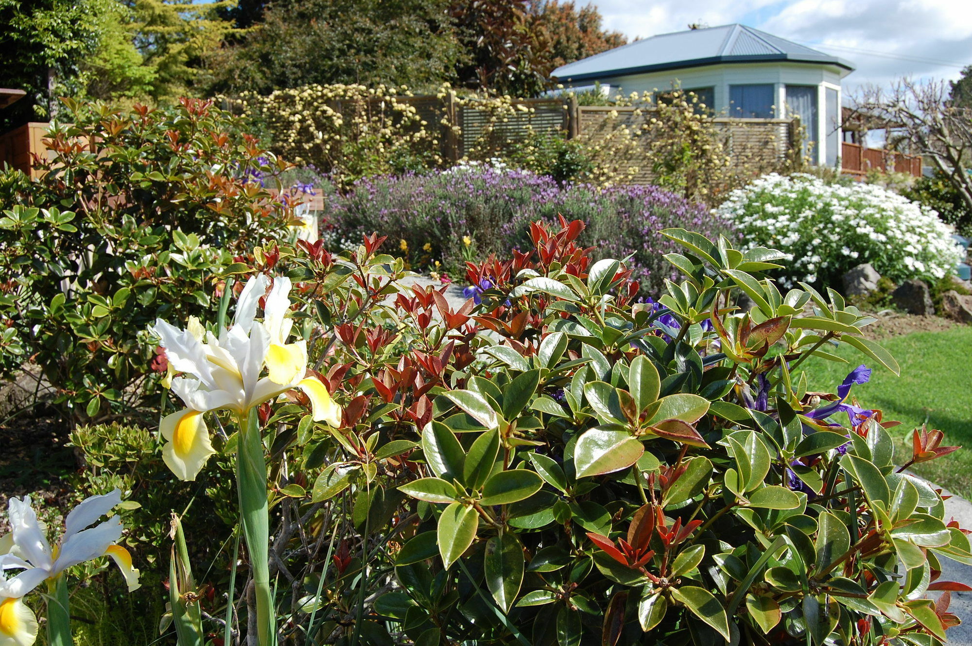 Te Awa Lodge Paihia Exteriér fotografie