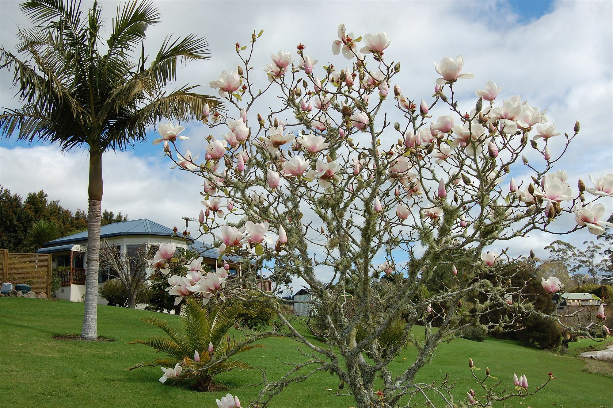 Te Awa Lodge Paihia Exteriér fotografie